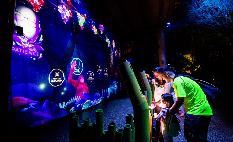 , In pictures: What to expect at Rainforest Lumina, the Zoo’s new multimedia night walk