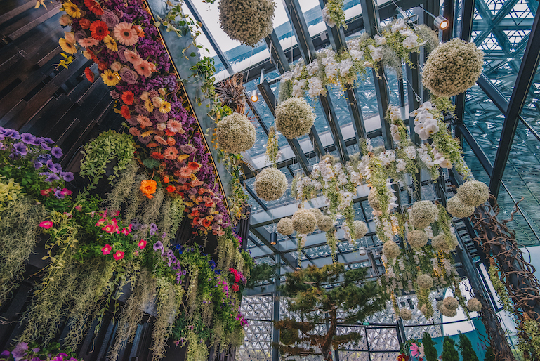 , Explore four scenic landscapes in new Gardens by the Bay attraction Floral Fantasy