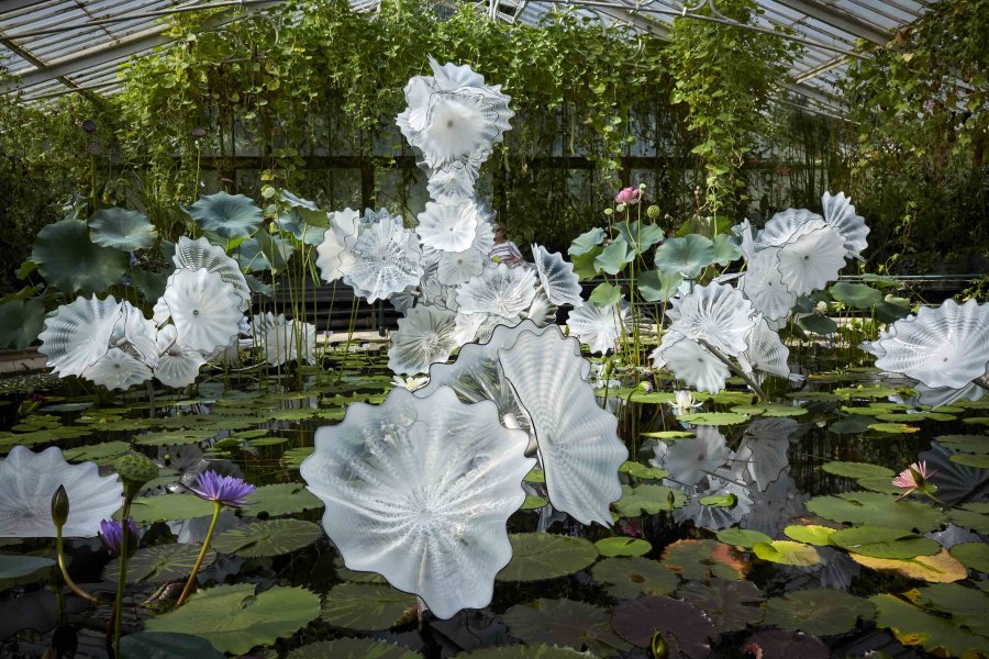 , Over 100 Dale Chihuly artworks will be on display at Gardens by the Bay this May