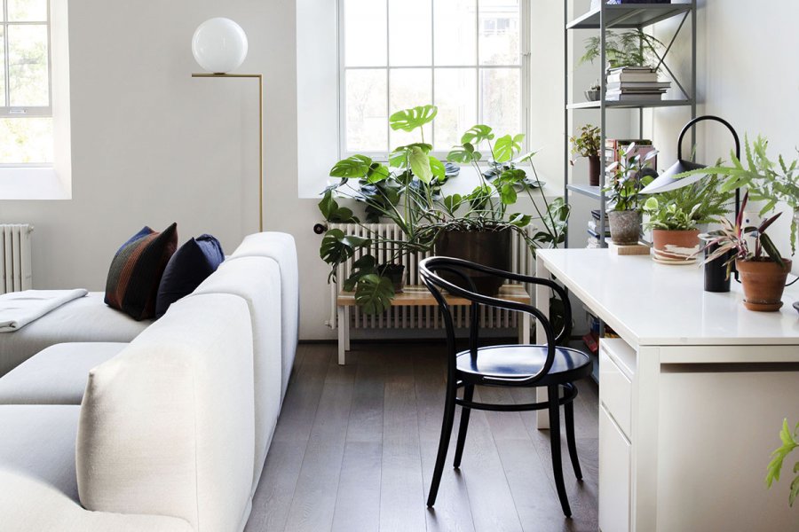 , How to incorporate plants into your home for that cool, urban jungle look