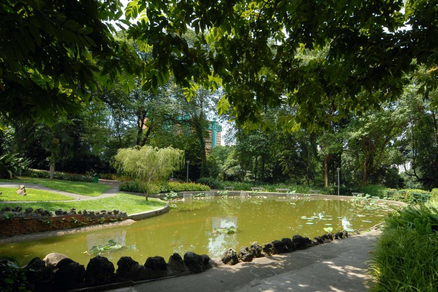 , 5 lesser-known parks in Singapore to enjoy the great outdoors