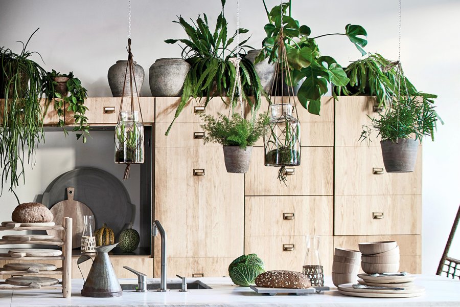 , How to incorporate plants into your home for that cool, urban jungle look