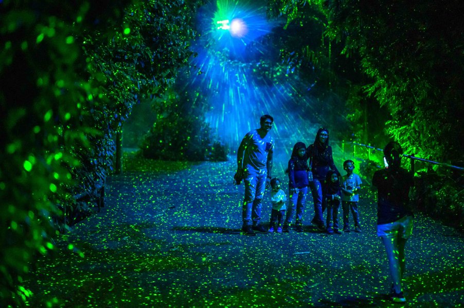 , Experience a digital thunderstorm and dazzling displays at the final season of Rainforest Lumina
