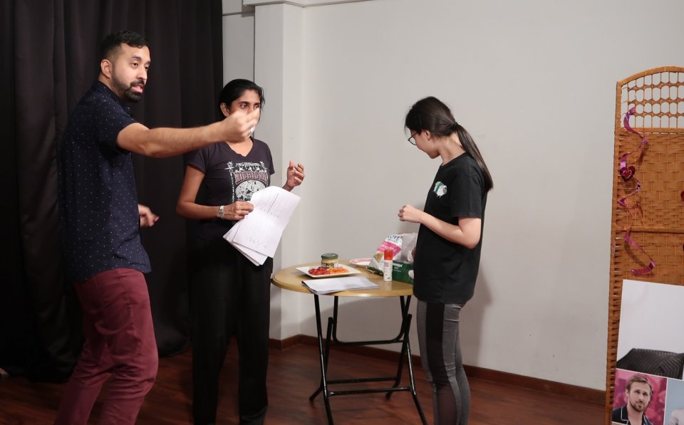 , How newly-crowdfunded theatre troupe The Haque Collective raised over $20k for their debut show