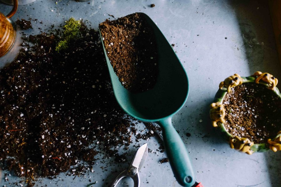 , Create a sustainable home garden with these 7 gardening tools and supplies