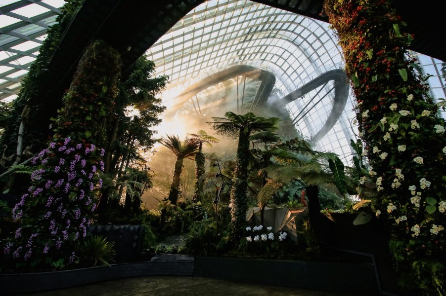 , Gardens by the Bay unveils new orchid display at its popular Cloud Forest conservatory