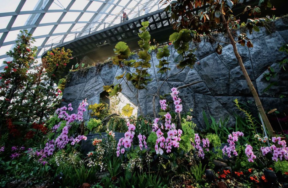 , Gardens by the Bay unveils new orchid display at its popular Cloud Forest conservatory