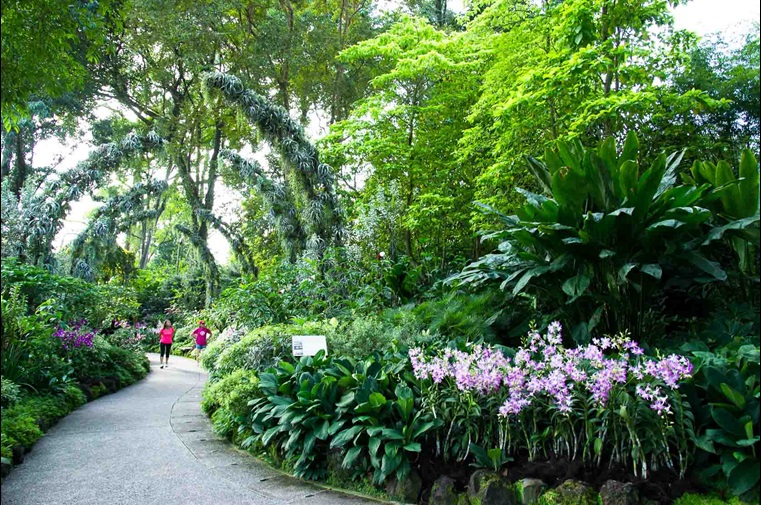, 5 breezy picnic spots in Singapore for an outdoor feast with family and friends