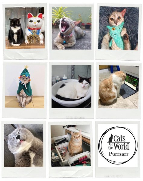 , Cats of The World Purrzaar is back to celebrate all things feline this April