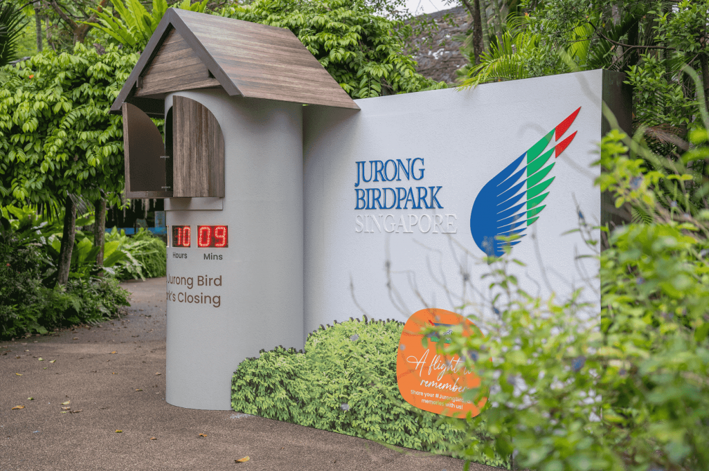 , Jurong Bird Park celebrates final hurrah with exciting programmes