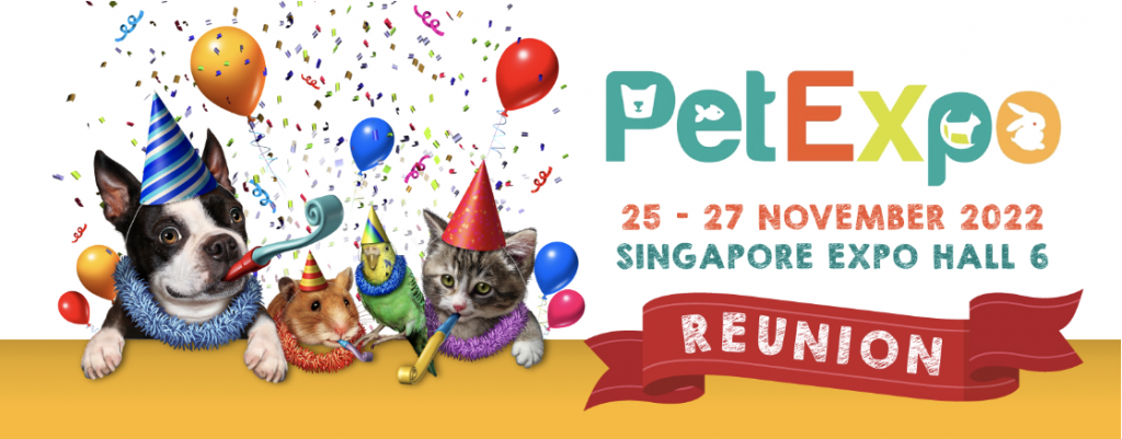 , 32 Exciting Things to do in Singapore this Nov 2022