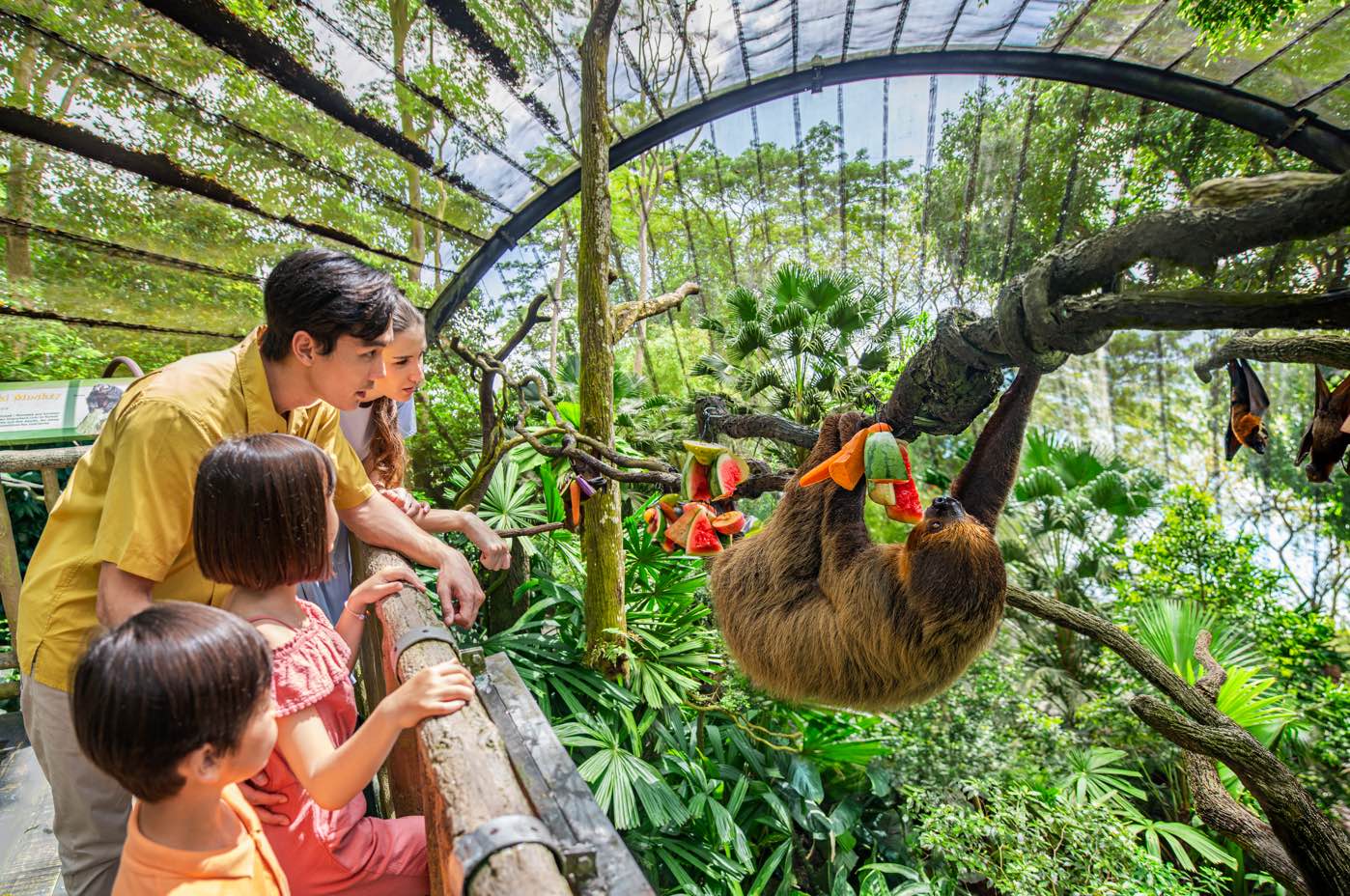 , Rediscover wildlife at Singapore Zoo’s 50th anniversary ‘Golden ZOObilee’