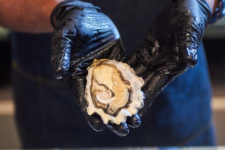 , Slurp on oysters from around the world at Greenwood Fish Market’s 11th World Oyster Festival