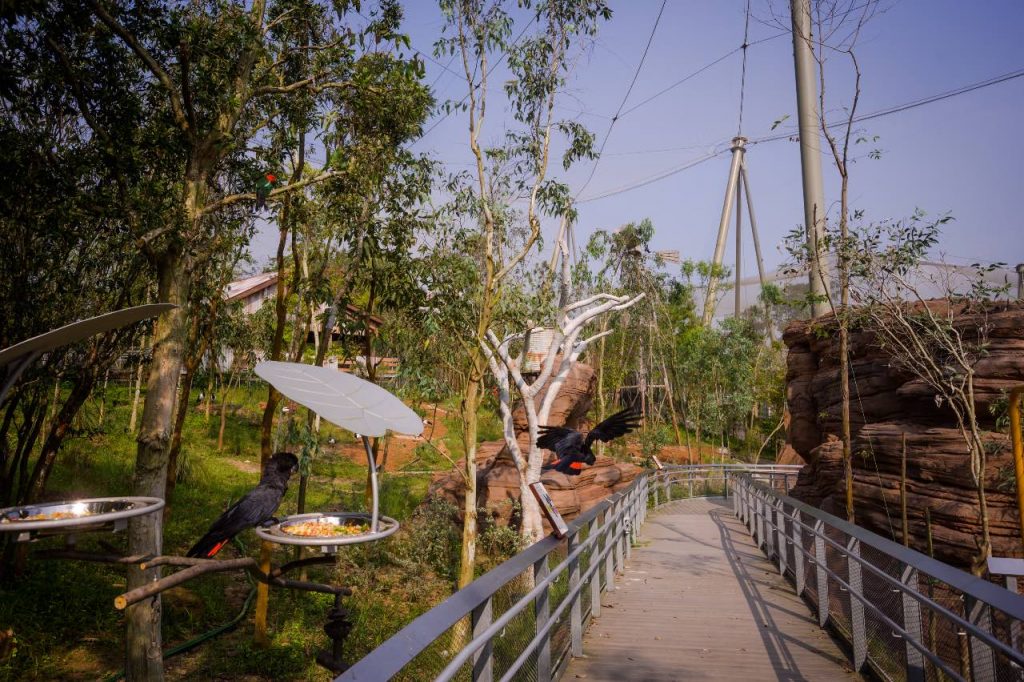 , Flying high: 8 activities to enjoy at the all-new Bird Paradise at Mandai Wildlife Reserve