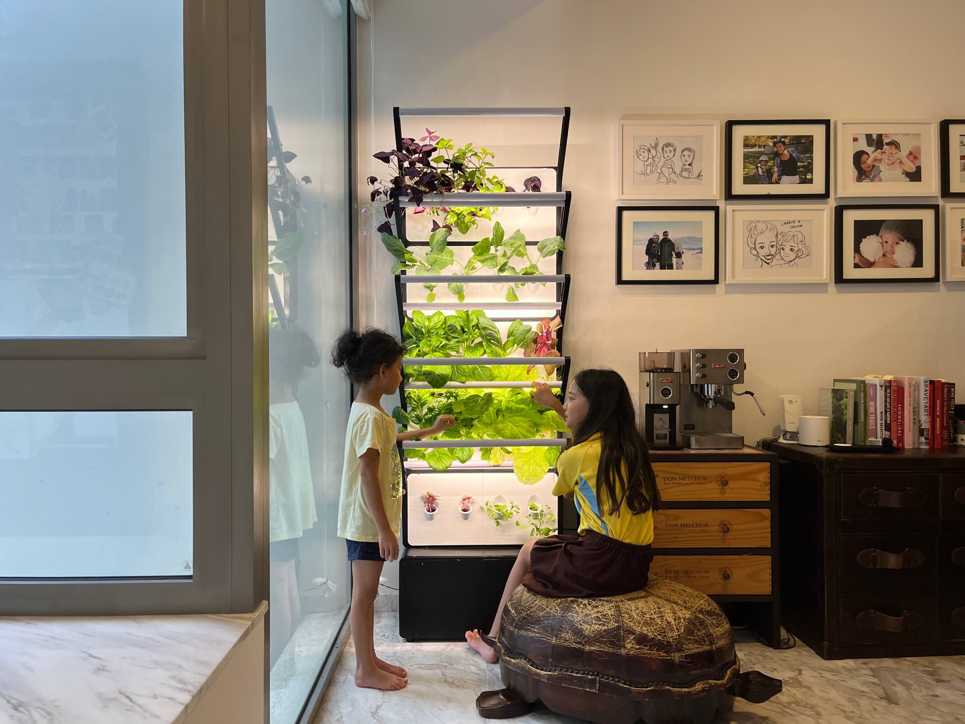 , Grobrix for Home vertical farm helps you live sustainably, eat well, and save money