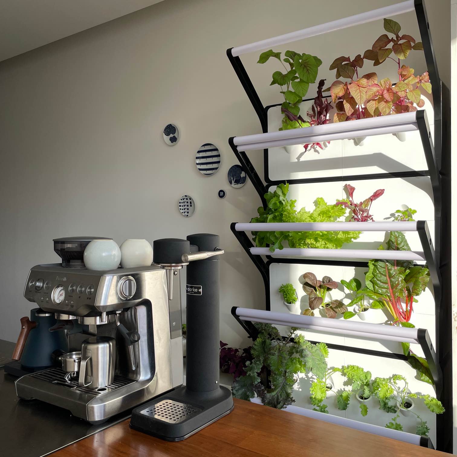 , Grobrix for Home vertical farm helps you live sustainably, eat well, and save money