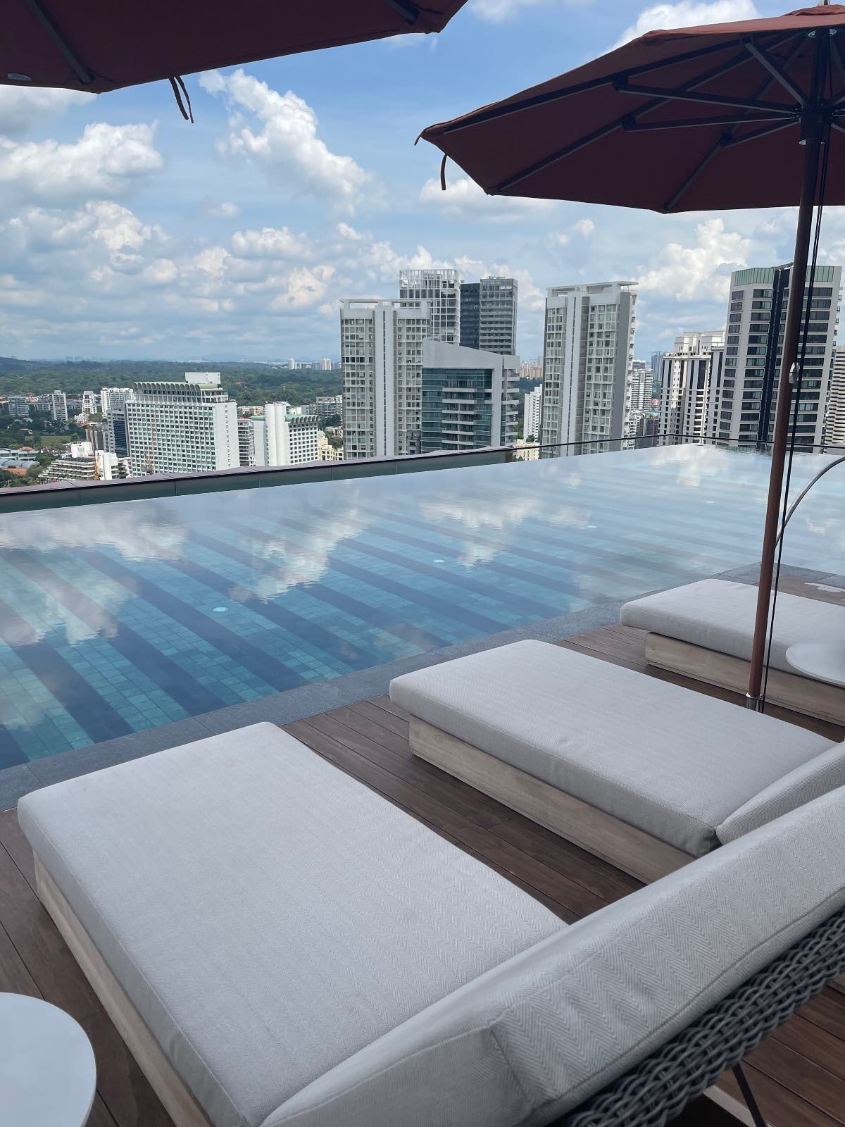 , Relax in Artyzen Singapore’s sky terraces, orchid gardens and cantilevered infinity pool