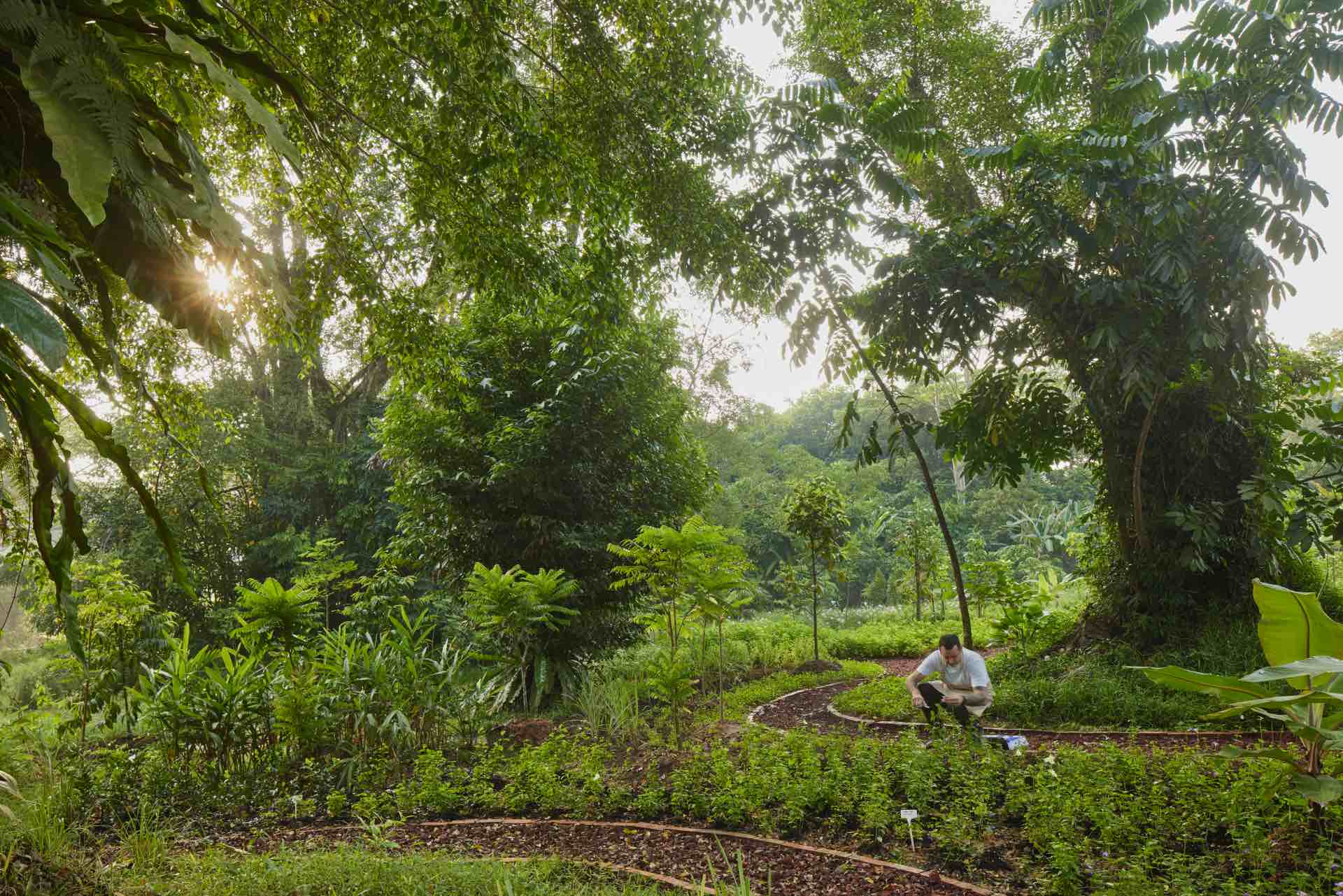 , Dempsey&#8217;s Air is a &#8216;circular campus&#8217; with restaurant, edible garden, cooking club and research space