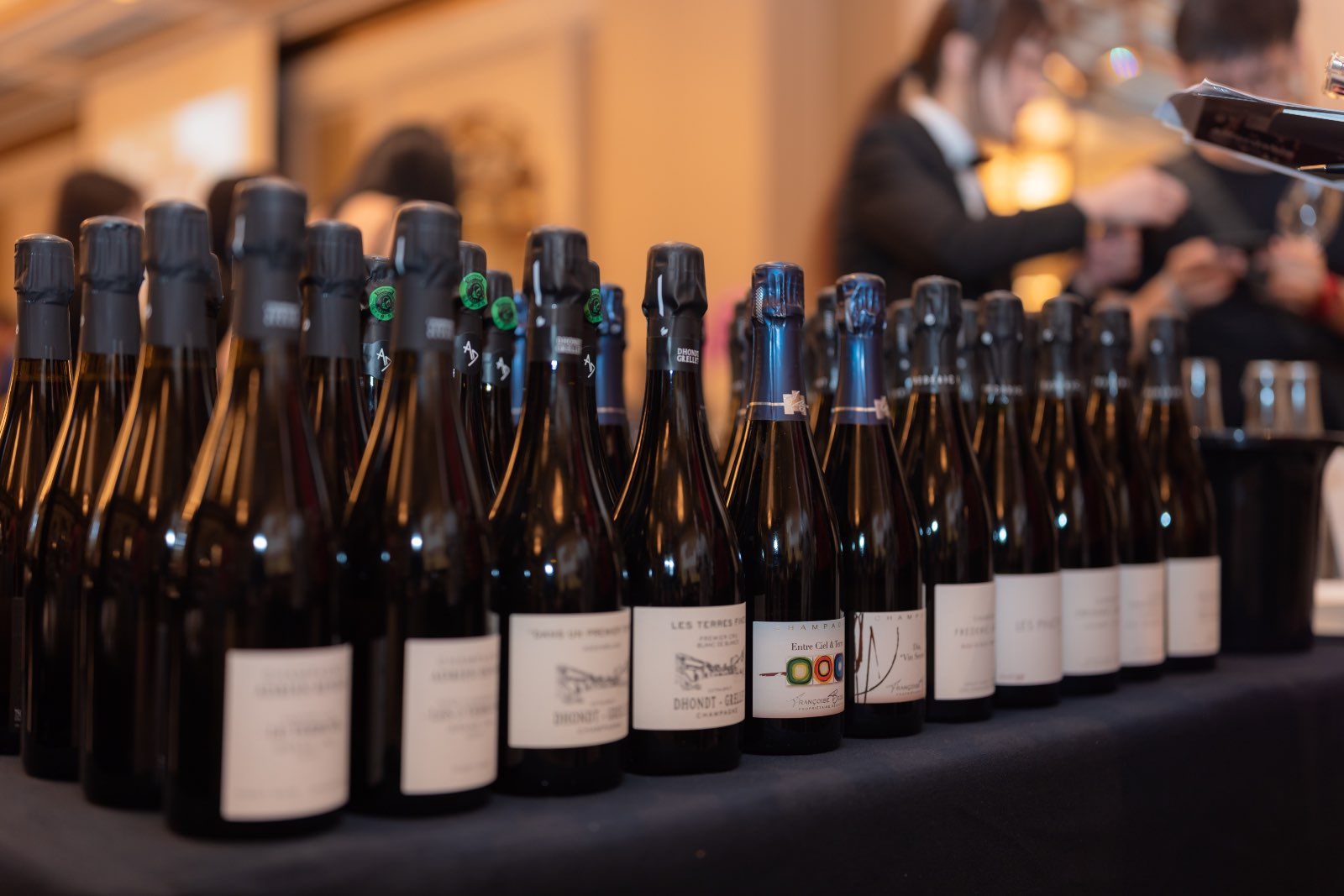 , Taste up to 400 wines at 2024 Fruits of the Vine festival