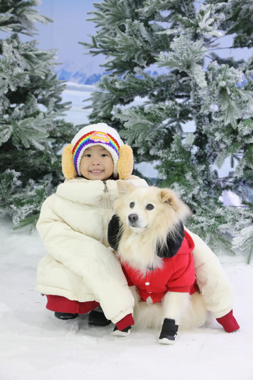 , Chill out at Singapore’s first-ever dog winter event, 4 Paws @ Ice Magic