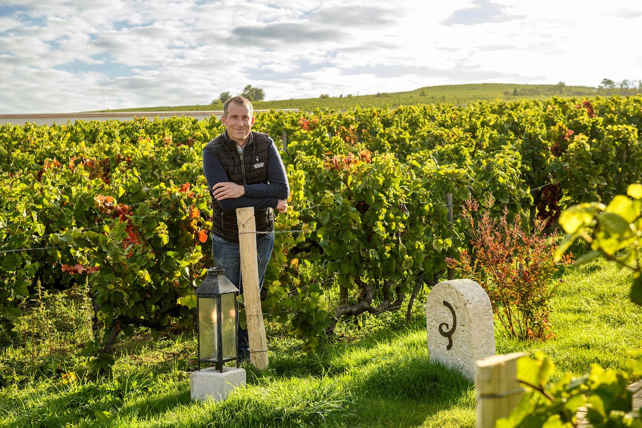 , How 3 top Champagne houses are championing sustainability