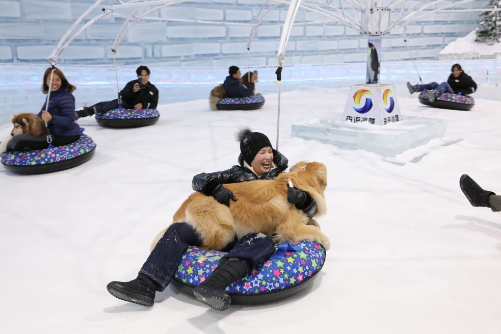 , Chill out at Singapore’s first-ever dog winter event, 4 Paws @ Ice Magic