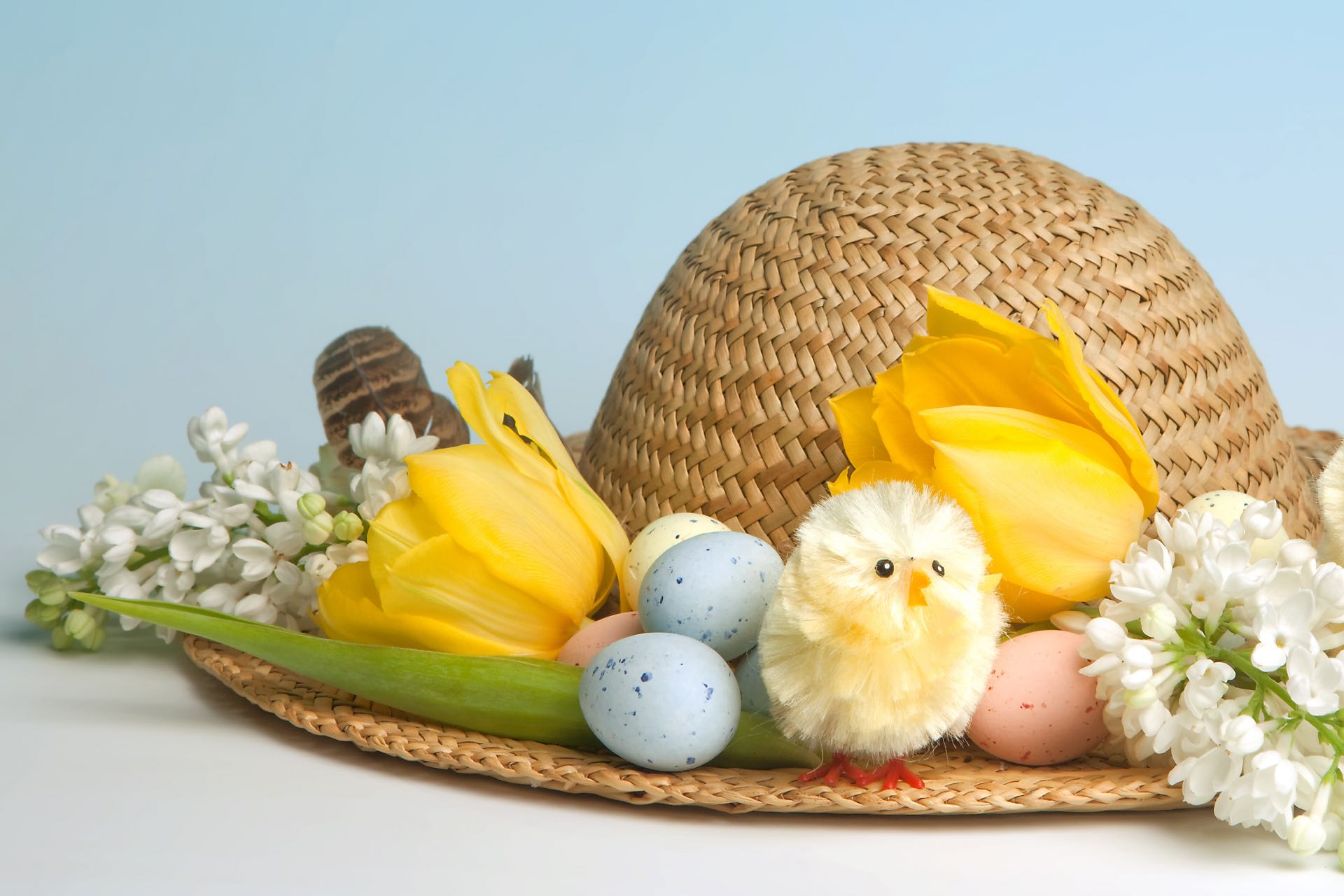 , Easter Eggs-travaganza at Bird Paradise and Mandai Wildlife West