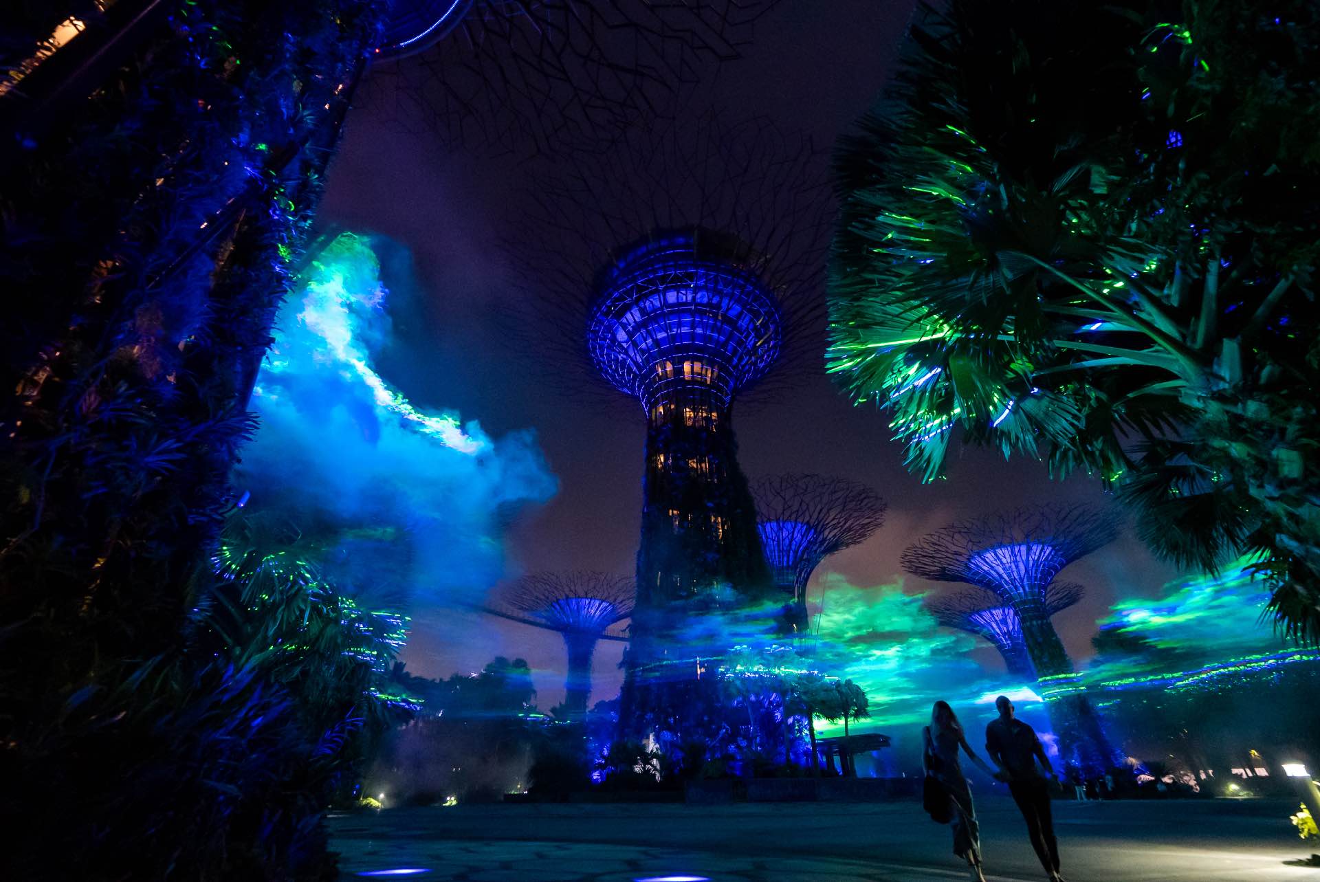 , See the &#8216;Northern Lights&#8217; at Gardens by the Bay