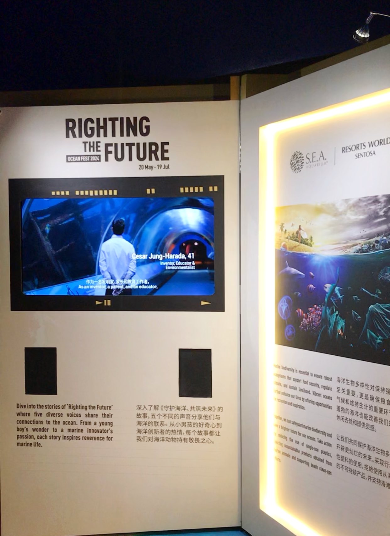 , Ocean Fest 2024 by S.E.A. Aquarium spotlights overlooked and under-represented marine life