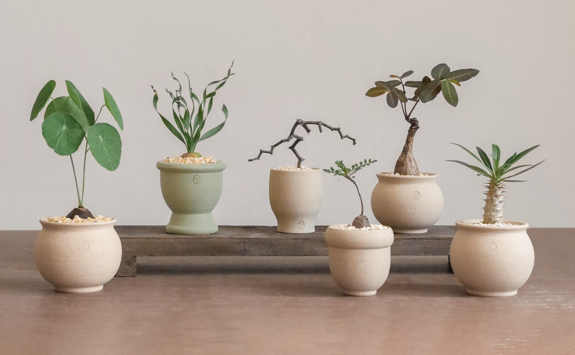 , Lifestyle collective New Bahru’s Sneak Peek event has bonsai styling and leather upcycling workshops