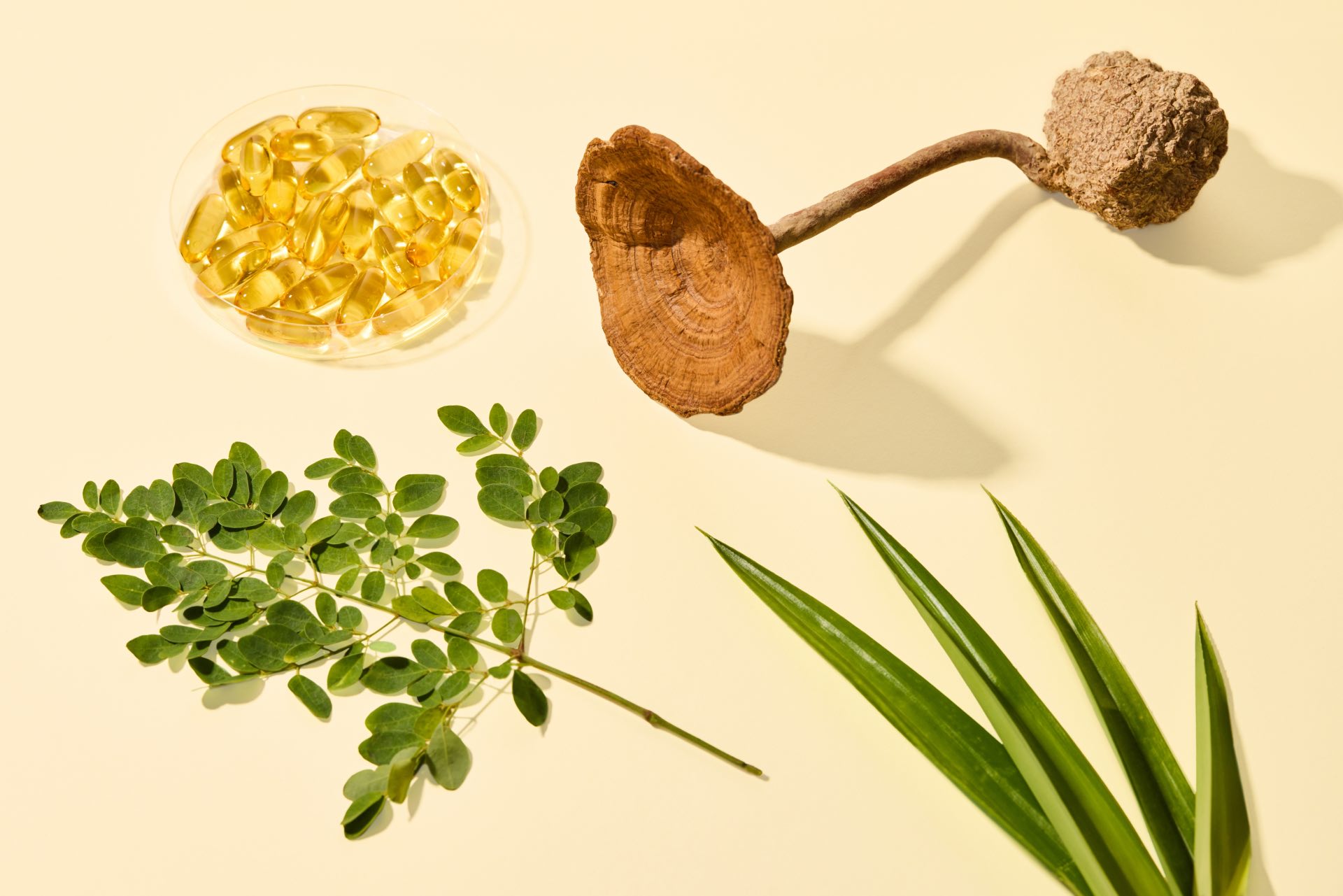 From top left: Wild Alaskan fish oil, tiger milk mushroom, screw pine, and moringa leaf.