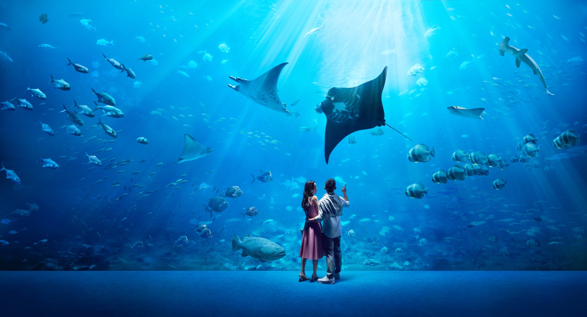 , Genshin Impact x Resorts World Sentosa’s S.E.A. Aquarium collab will take you on an immersive marine adventure