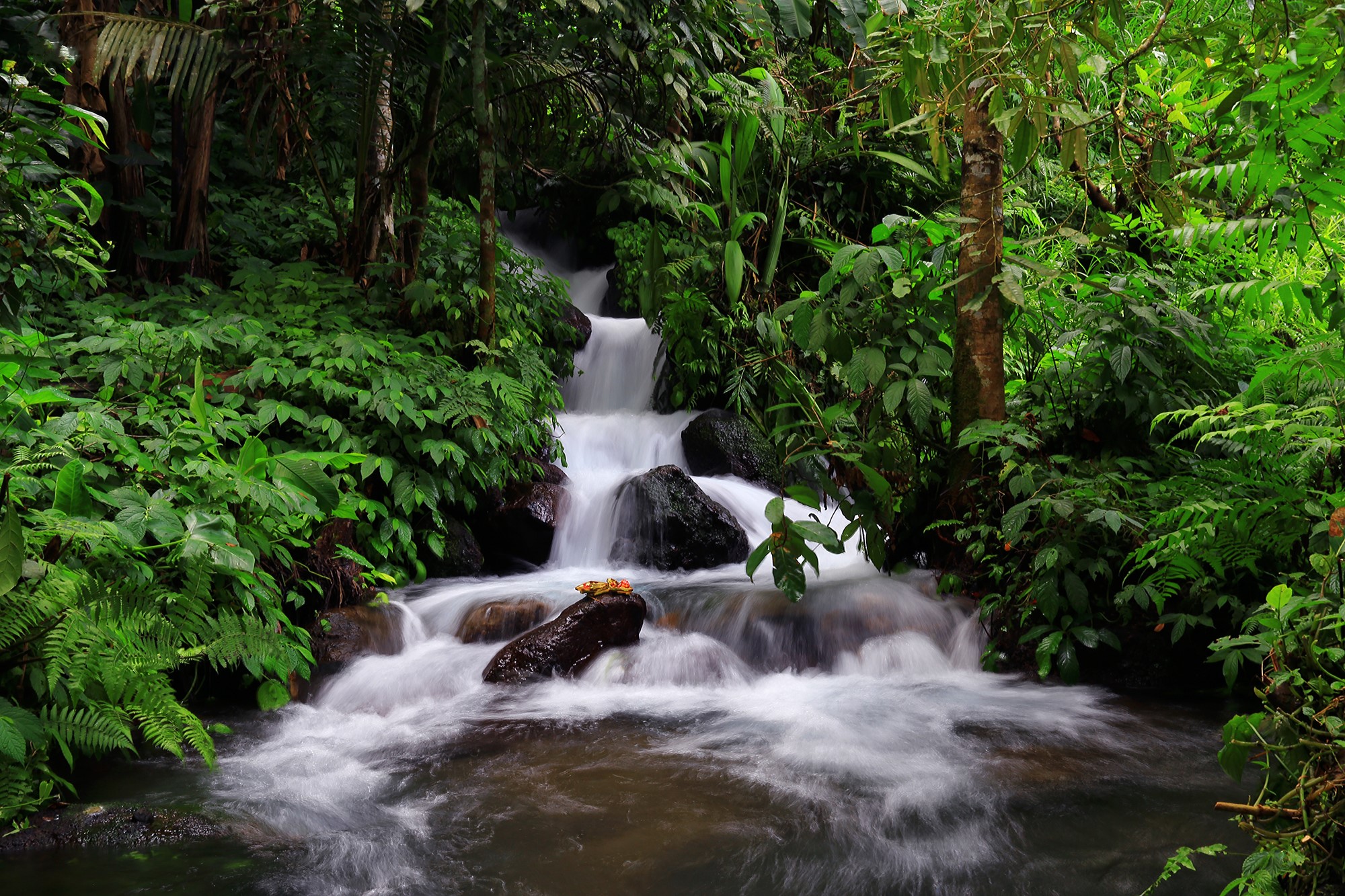 Balian’s protected water source