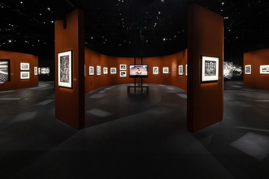 , See the majesty of the Amazon rainforest at National Museum of Singapore